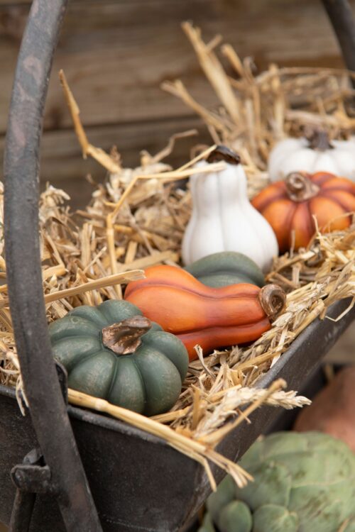 Dekorationspumpa mini grön 5x8 cm – höstdekoration