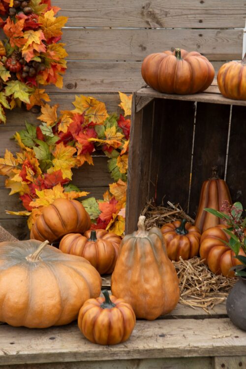 Avlång dekorationspumpa 24 cm