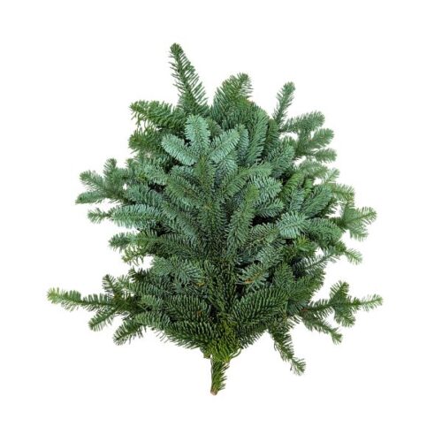 Småbunt av nobilisgran gravdekoration