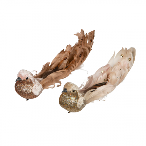 Sammetfågel med clips.