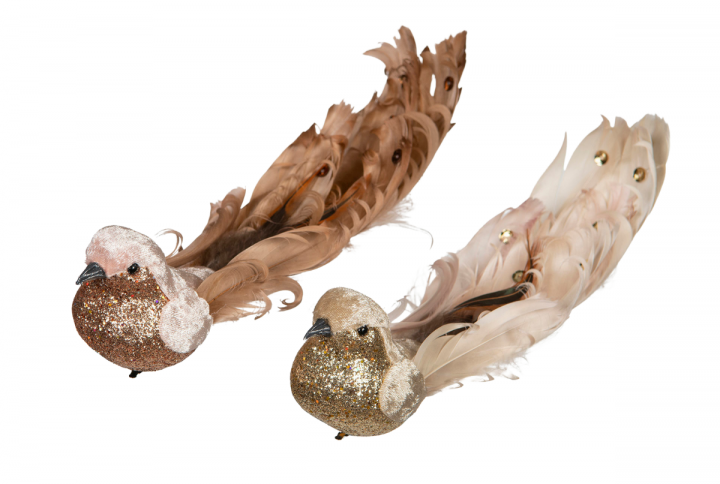 Sammetfågel med clips.