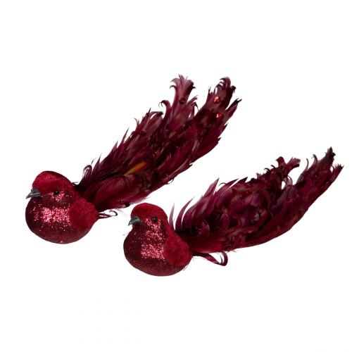 Sammetfågel med clips.