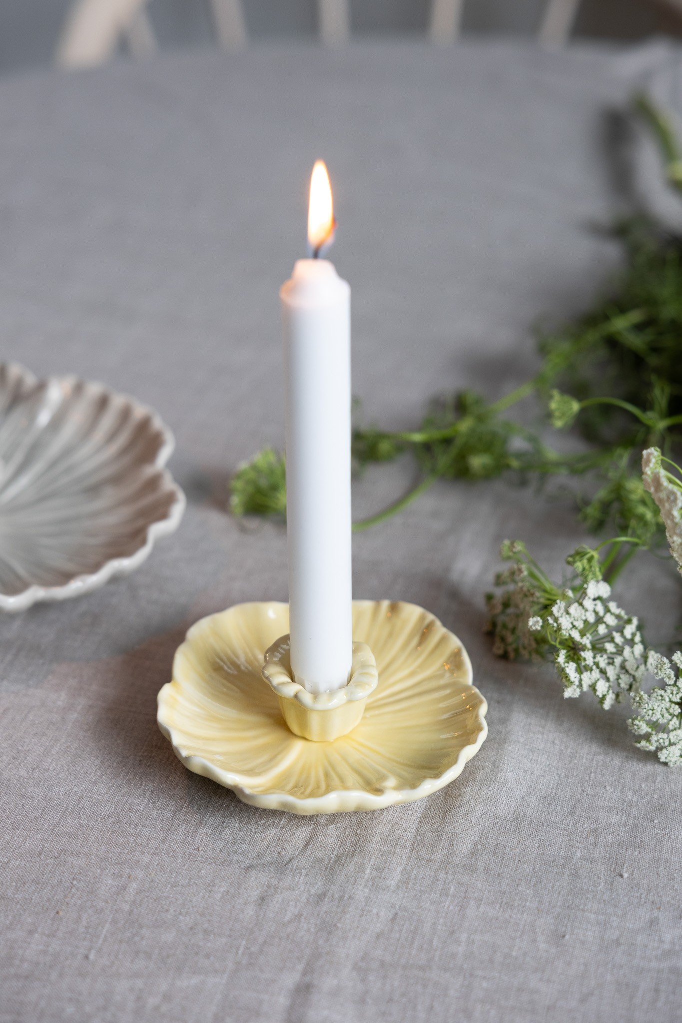 botanik-liten-ljusgul-ljusstake_4