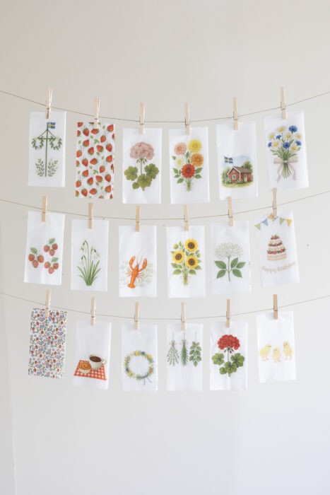 pelargon-rosa-servett_2