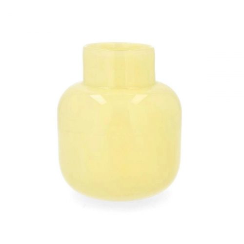 Stilren glasvas Nerio som framhäver snittblommor