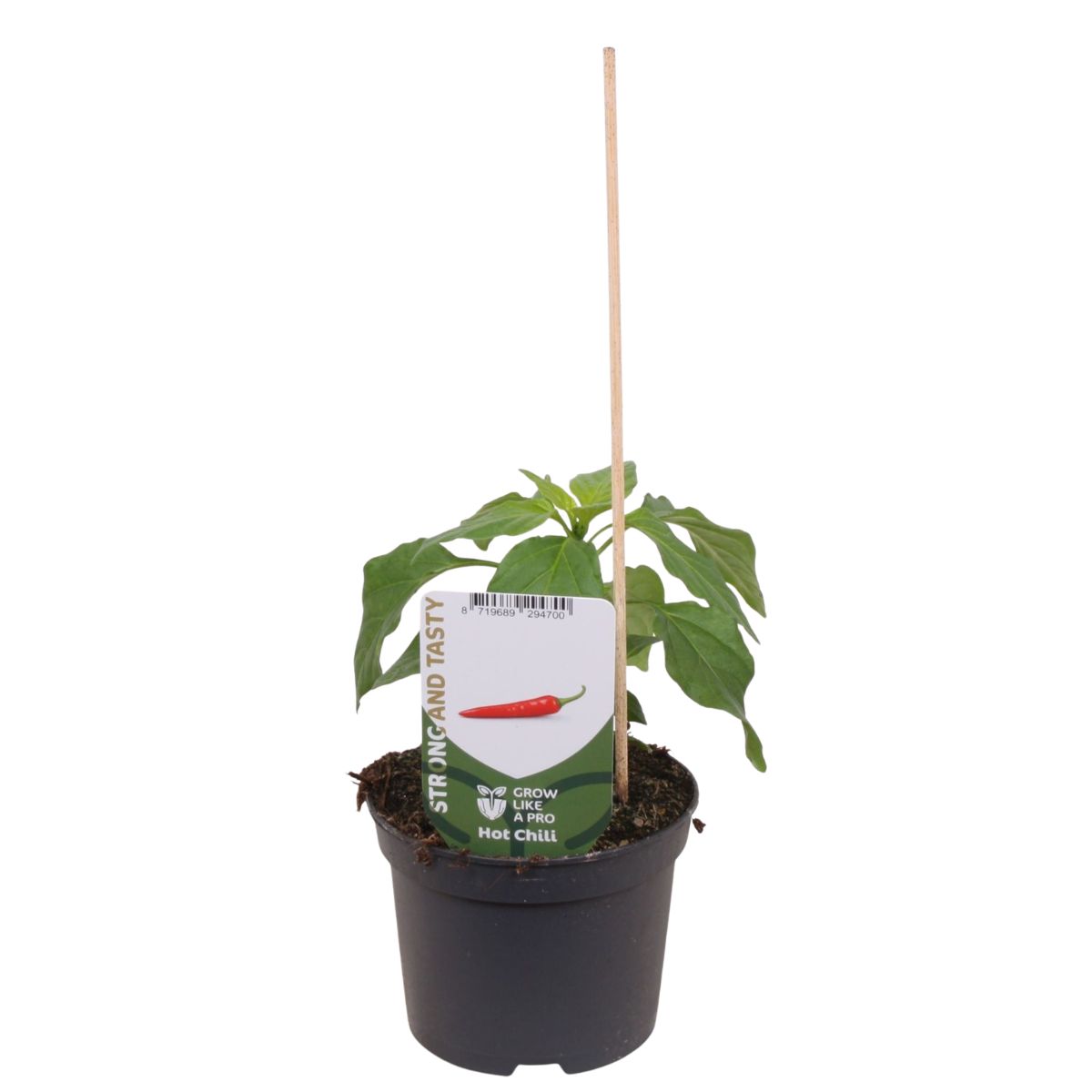 stark-chili-rod