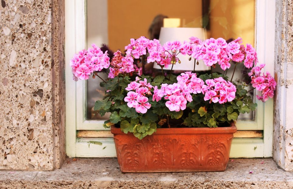 Image Slider