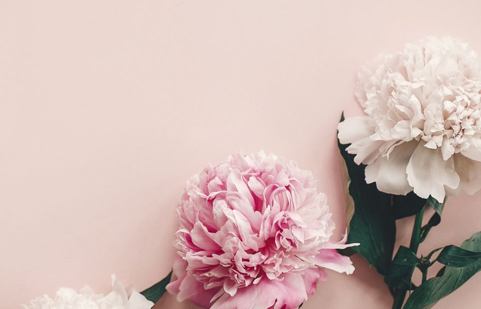 Image Slider