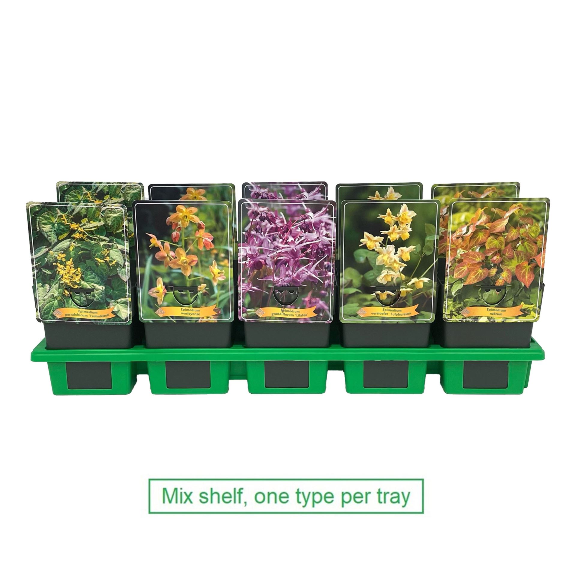 epimedium-mixed
