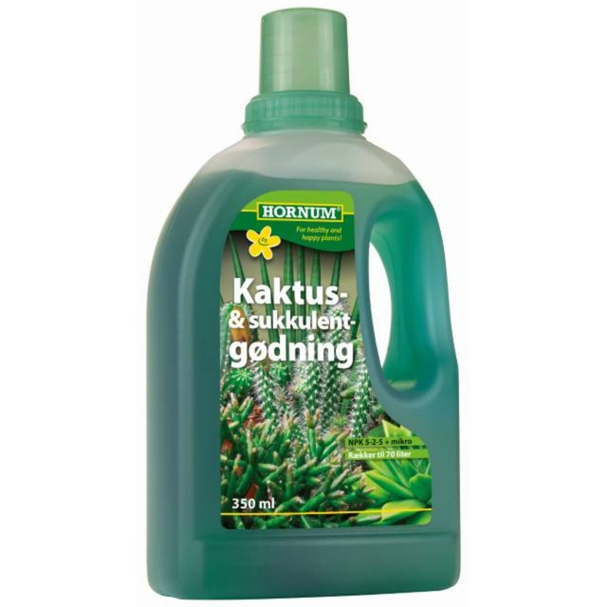 kaktus-och-suckulent-naring